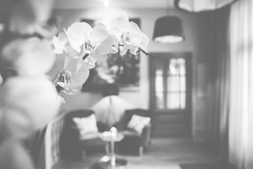 Hotel Bellini Guxhagen Εξωτερικό φωτογραφία